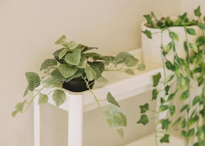 Aqua Breeze Апартаменты